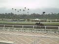 2-year-old colt Wayman works, Santa Anita Park, 10-19-09