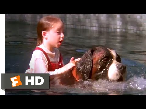 Beethoven (1992) - Drowning Rescue Scene (5/10) | Movieclips