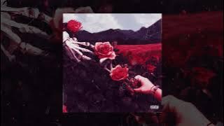 Mamazi X Roohi X Vlirza - Love & Hate( Audio)