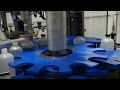 Aesus Delta Star Capper with Cap Elevator Running Opaque Bottles at 60 BPM
