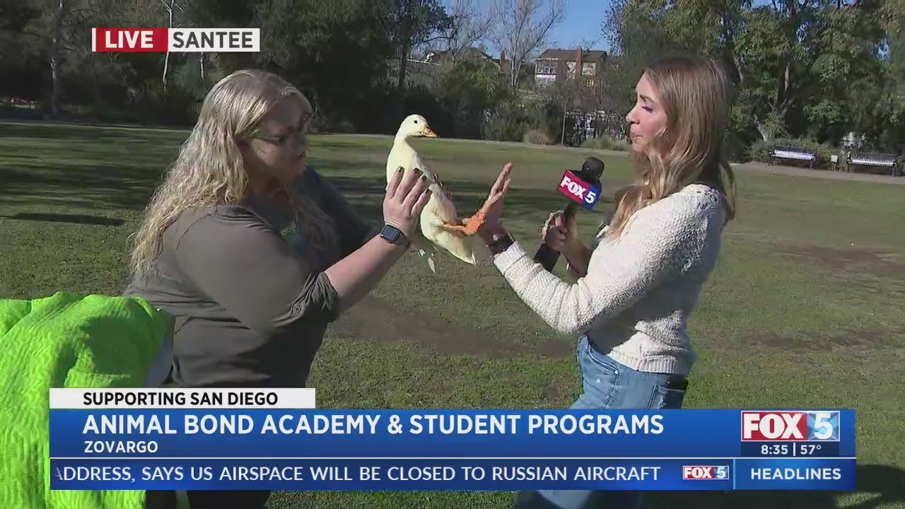 Animal Bond Academy + Student Programs From Zovargo