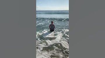 Checking Out The Waves