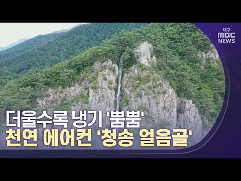 더울수록 냉기 뿜는 천연 에어컨 '청송 얼음골' | 대구MBC뉴스