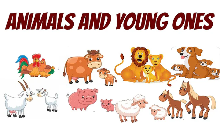 Animals and their Young Ones | Animals and their Babies