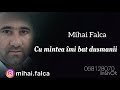 Mihai Falca - Cu mintea îmi bat dușmanii