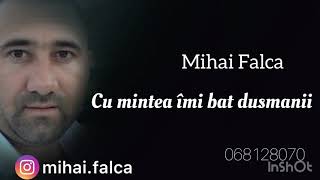 Mihai Falca - Cu mintea îmi bat dușmanii