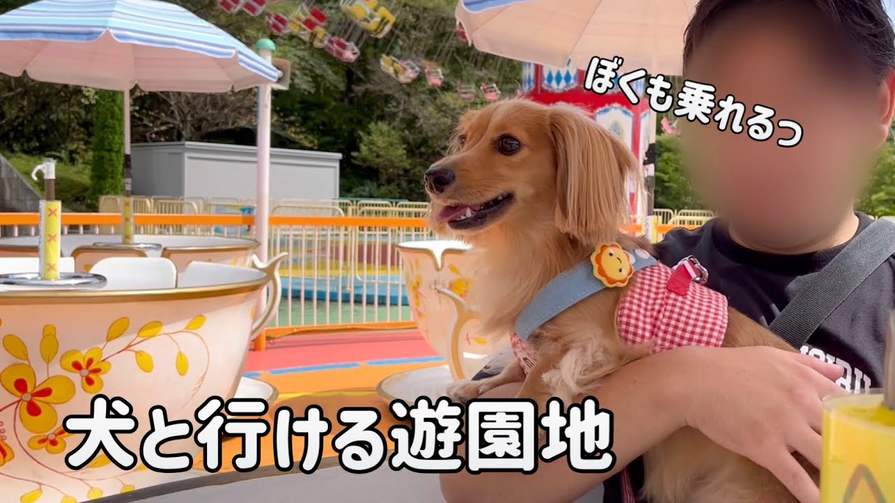 愛犬の誕生日旅行で那須ハイランドパークへ行って来た！【カニンヘンダックスフンド】