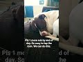 pls peeps, let's get me and my girls uo to 60 subs. Just 1 and we made 60 xx