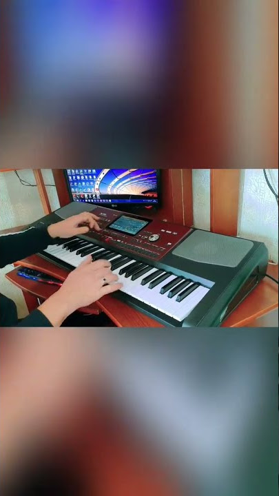 Korg pa 700 -cover .