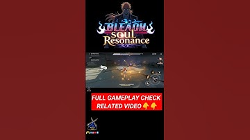 Bleach Soul Resonance