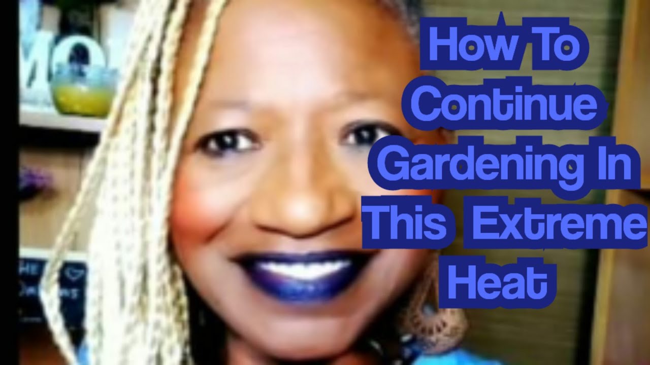How To Continue Gardening In This Extreme Heat YouTube