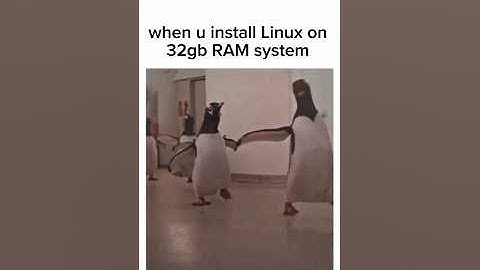 When You Install Linux On 32 Gb Ram System #shorts #linux #operatingsystem #coding #memes #attitude