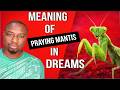 IF YOU SEE a PRAYING MANTIS in your Dreams