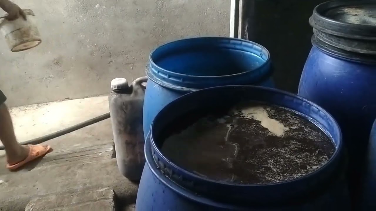 Cách Làm Vem Vi Sinh Rẻ Tiền Hiệu Quả Trong Chăn Nuôi 0988399068