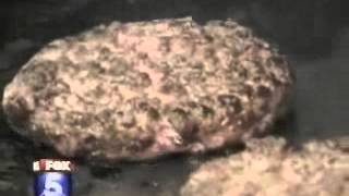 BGR The Burger Joint Fox TV San Diego- National Hamburger Day