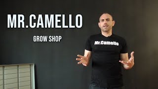 Conociendo Mr.camello