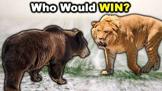 Grizzly Bear Vs Liger - The Honest Truth