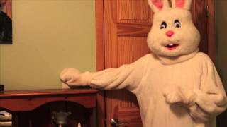 Everyday Bunny Two Out of Three Life