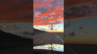 Daylight - Taylor Swift