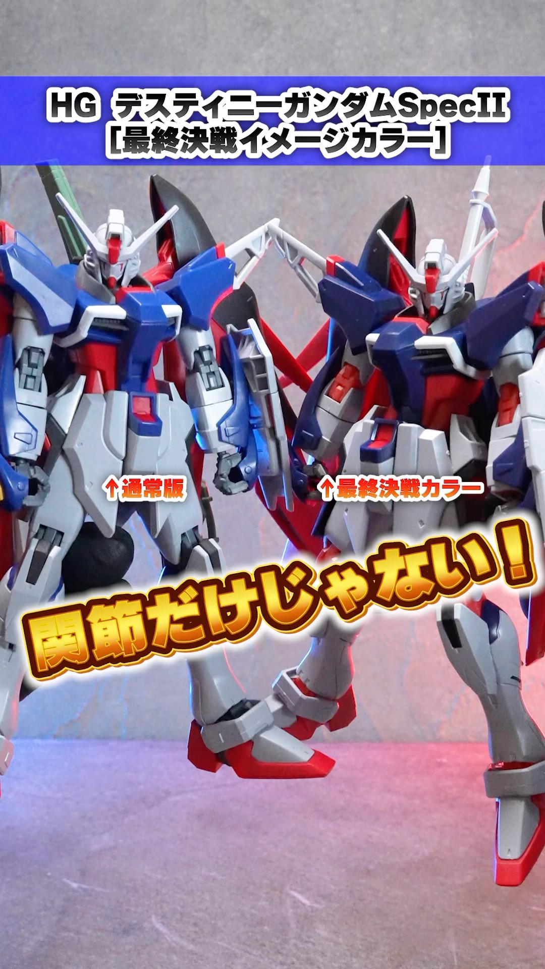 関節以外も色が違う！？【HG デスティニーガンダムSpecII 最終決戦