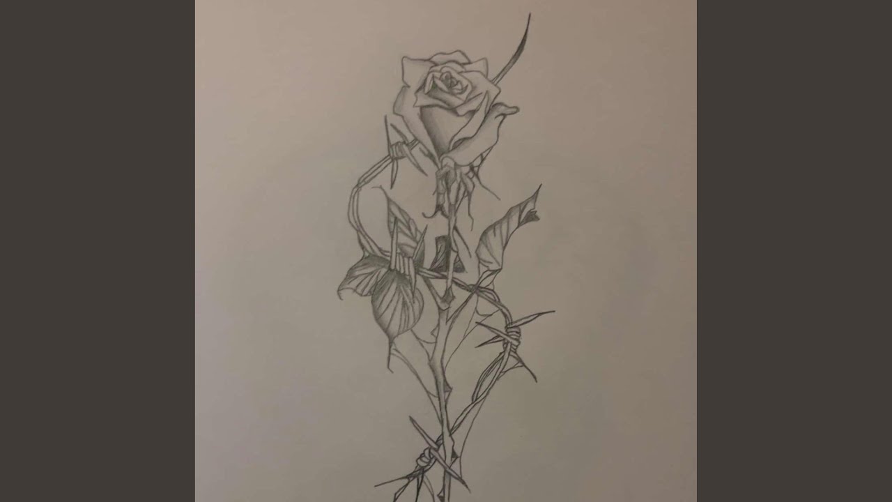 Guarda Exertion su YouTube Guarda Exertion su YouTube