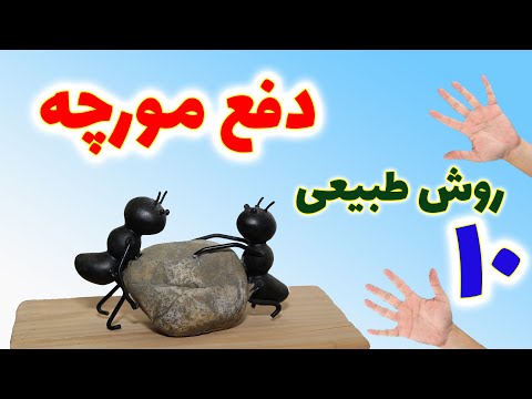 تصویری: 3 راه برای کشتن مورچه های قندی