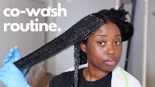 Mid-week Cowash Routine to Hydrate Dry Hair | Healthy hair routine