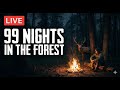 99 NIGHTS IN THE FOREST LIVE