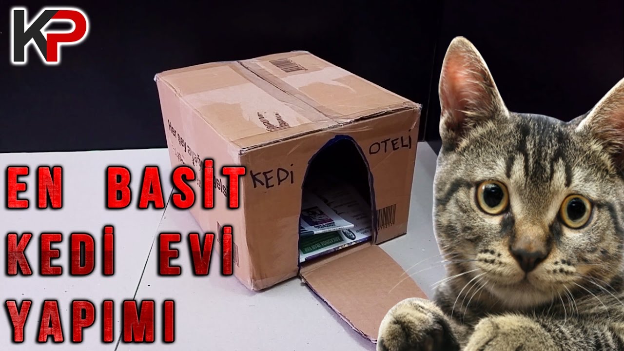 En Basit Kedi Evi Yapimi 1080p Youtube