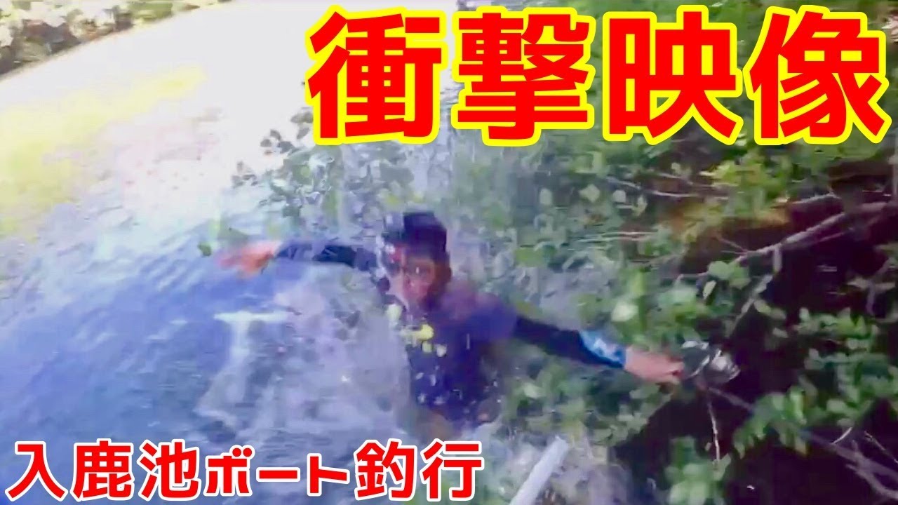 衝撃 事件勃発 In 入鹿池 Youtube 衝撃 事件勃発 In 入鹿池 Youtube