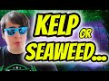 The biggest misconception about kelp and seaweed that will affect your garden