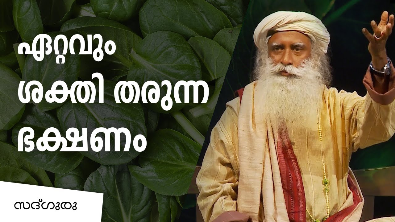 ഏറ്റവും ശക്തി തരുന്ന ഭക്ഷണം | Eat these foods to boost energy levels