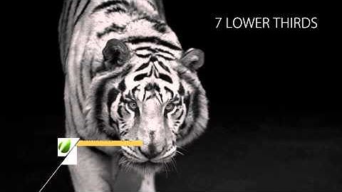 Clean and Simple Lower Third | VideoHive Templates | After Effects Project Files