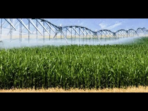Vídeo: Os Melhores Mercados De Agricultores Do Mundo