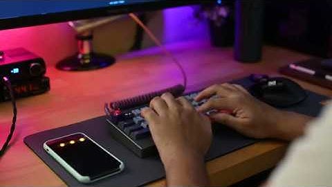 Polaris - Holy Panda