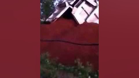 Load of sawdust