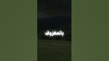 القارئ فضيلة الشيخ: عمر بن ضياء الدين 🫀 #قرآن #القرآن_الكريم #عمر_بن_ضياء_الدين #تلاوات #quran