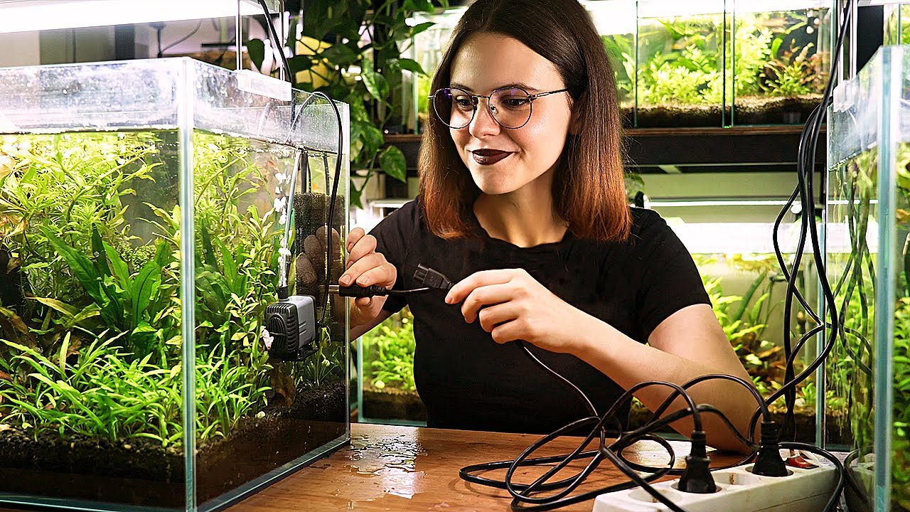 LE LOW-TECH C'EST TERMINÉ ! 😱 200€ dans de nouvelles installations !🐟🌿