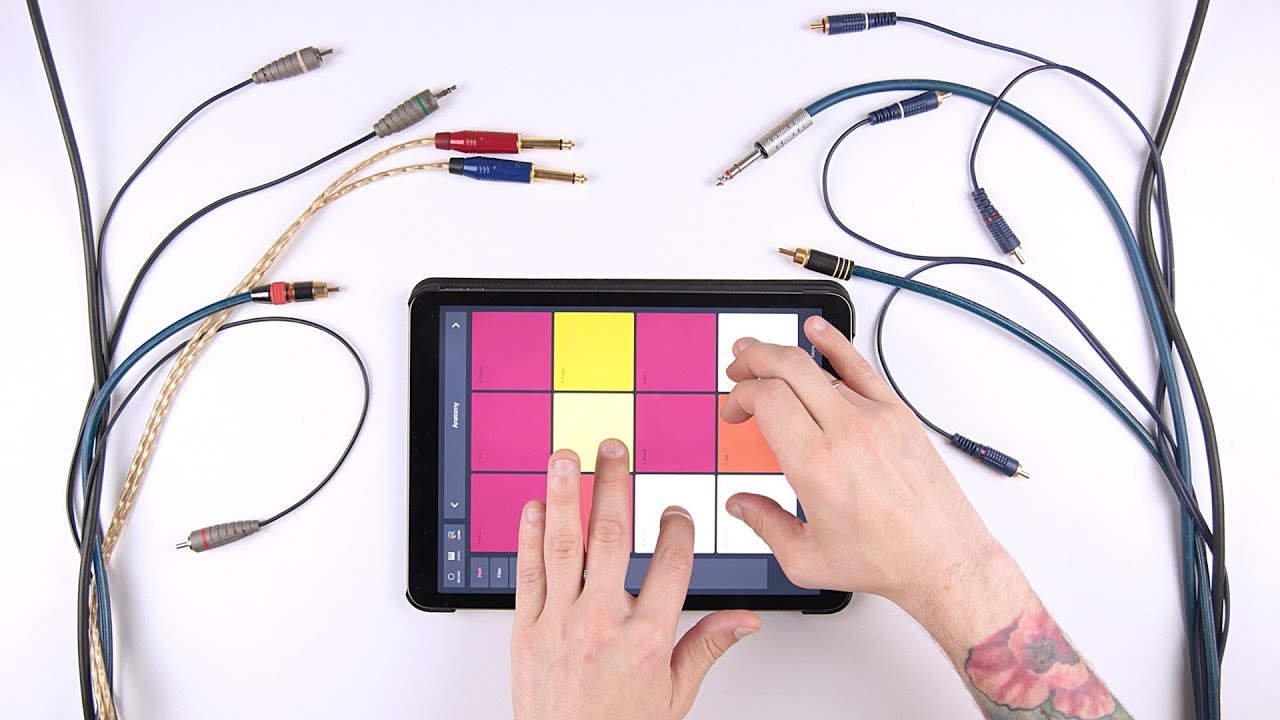 Bass House Sample Pack Anatomy | Drum Pads 24