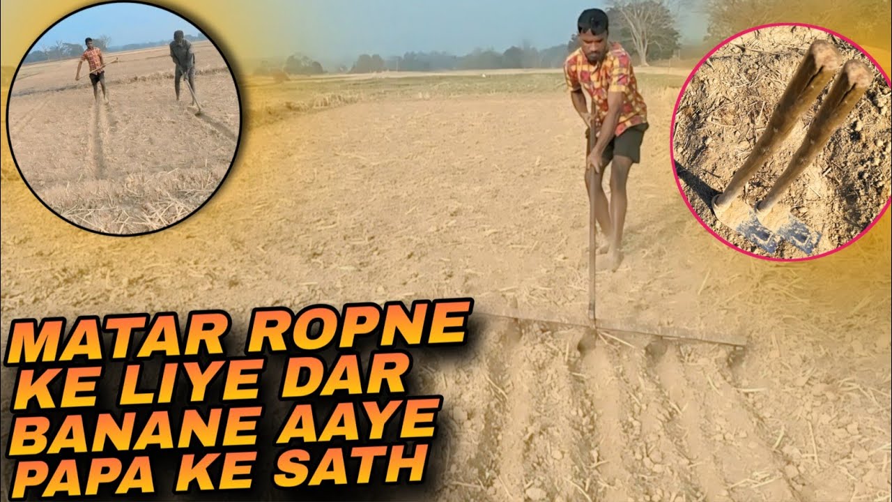 Matar Ropne Ke Liye Dar Banane Aaye Papa Ke Sath 🙂 Matar Ropne Ke Liye Dar Kaise Banate Hai ?