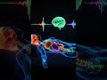 Try Listening to 432Hz for 30 Seconds Before Sleep