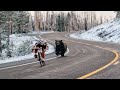 20 SCARIEST Bear Encounters NOT to Watch at 8 AM in 2021