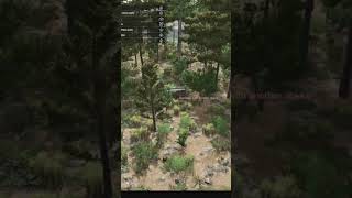 Farming Challenge Day 5. Getting into BEES!!! $250 - $10,000,000.Homestead Map.
