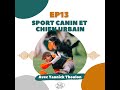 Ep13  yannick thoulon canissimo  sports canins et chien urbain