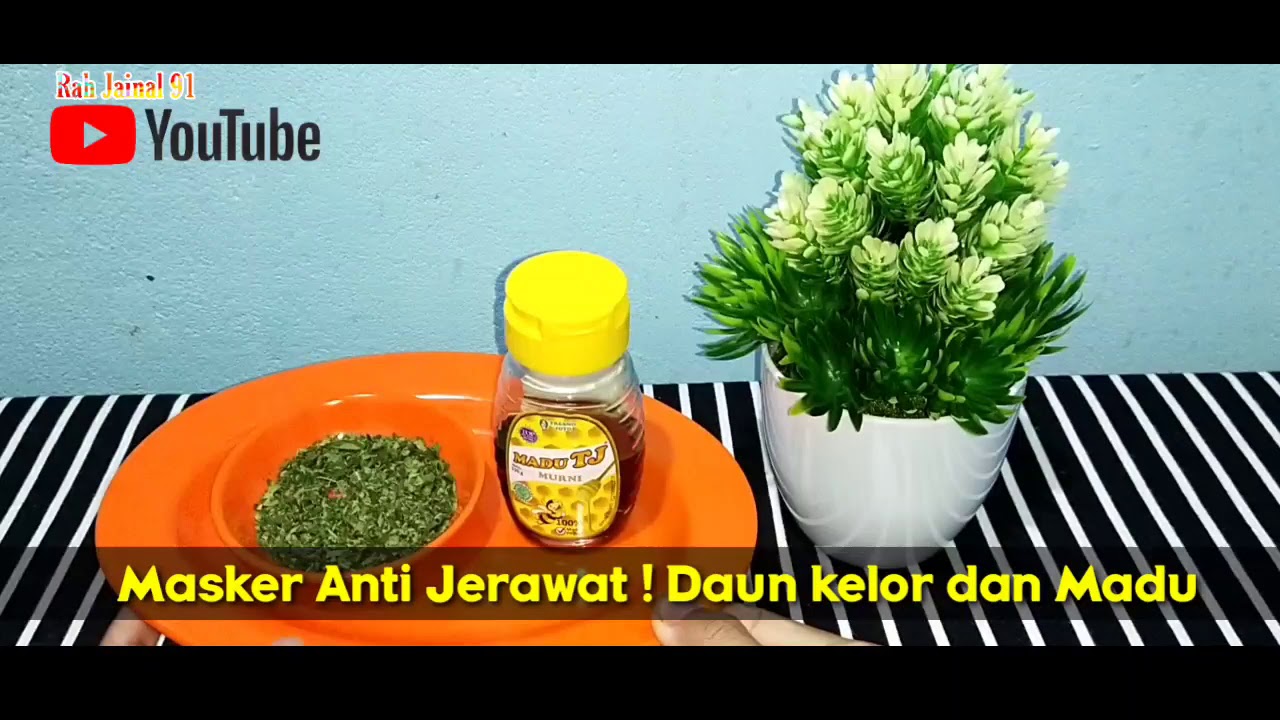 Masker anti jerawat Daun kelor & Madu Terbukti Efektif 