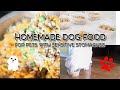 Homemade Dog Food for Sensitive Stomachs | Why I Make My Dog's Food | WARNING SENSITIVE IMAGES