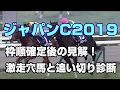 【競馬予想】ジャパンカップ2019　枠順確定後の見解！激走穴馬と追い切り診断