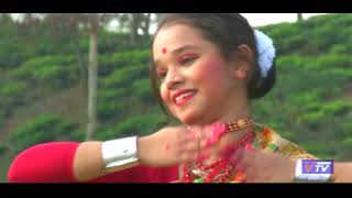 Dhoribor Mone Jaai Jaanmoni 2010 Assamese Bihu Dance Performed By Shyani Das