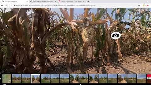 How to Navigate the Virtual Reality Demonstration Plot Tour, Farm Science Review 2020