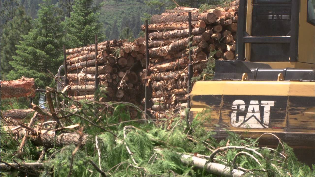 Ron Kuhlman, Professional Logger